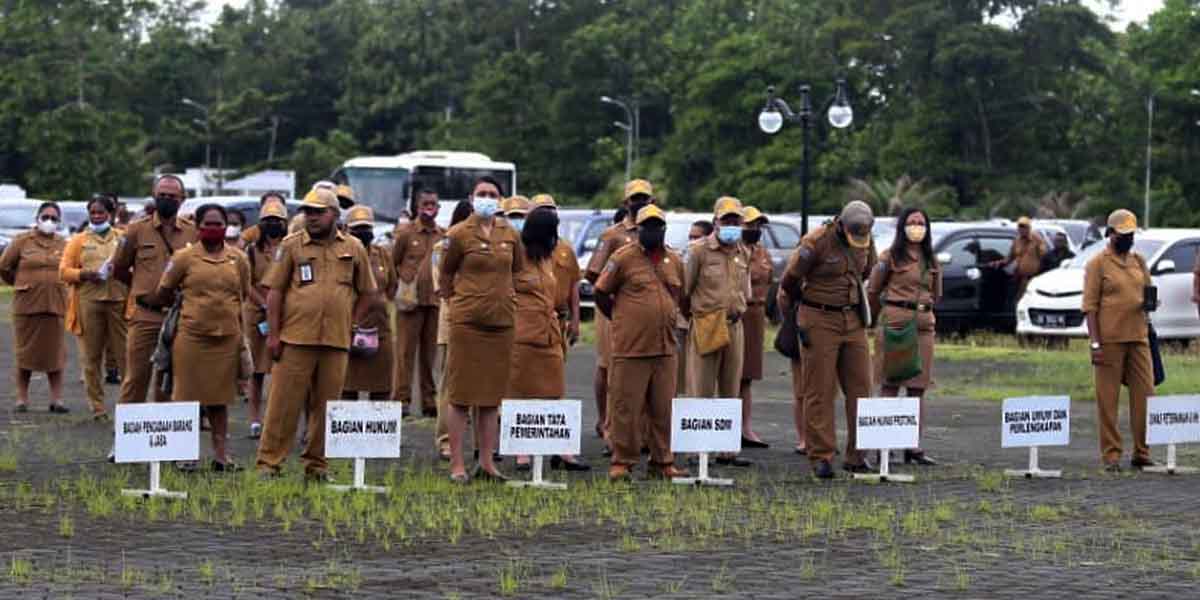 pengangkatan-honorer-jadi-cpns-ini-prioritas-pemkab